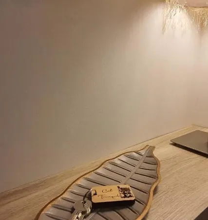 Cal Tranquil Camprodon, Acollidor Atic Al Centre *