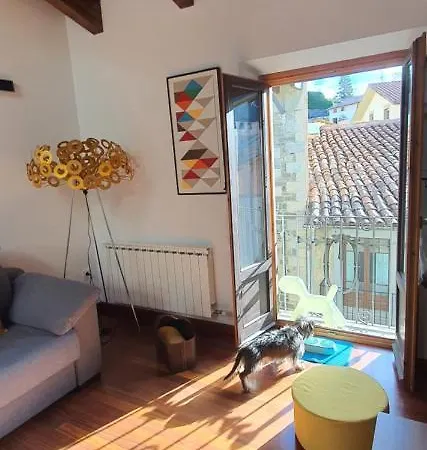 Apartment Cal Tranquil Camprodon, Acollidor Atic Al Centre
